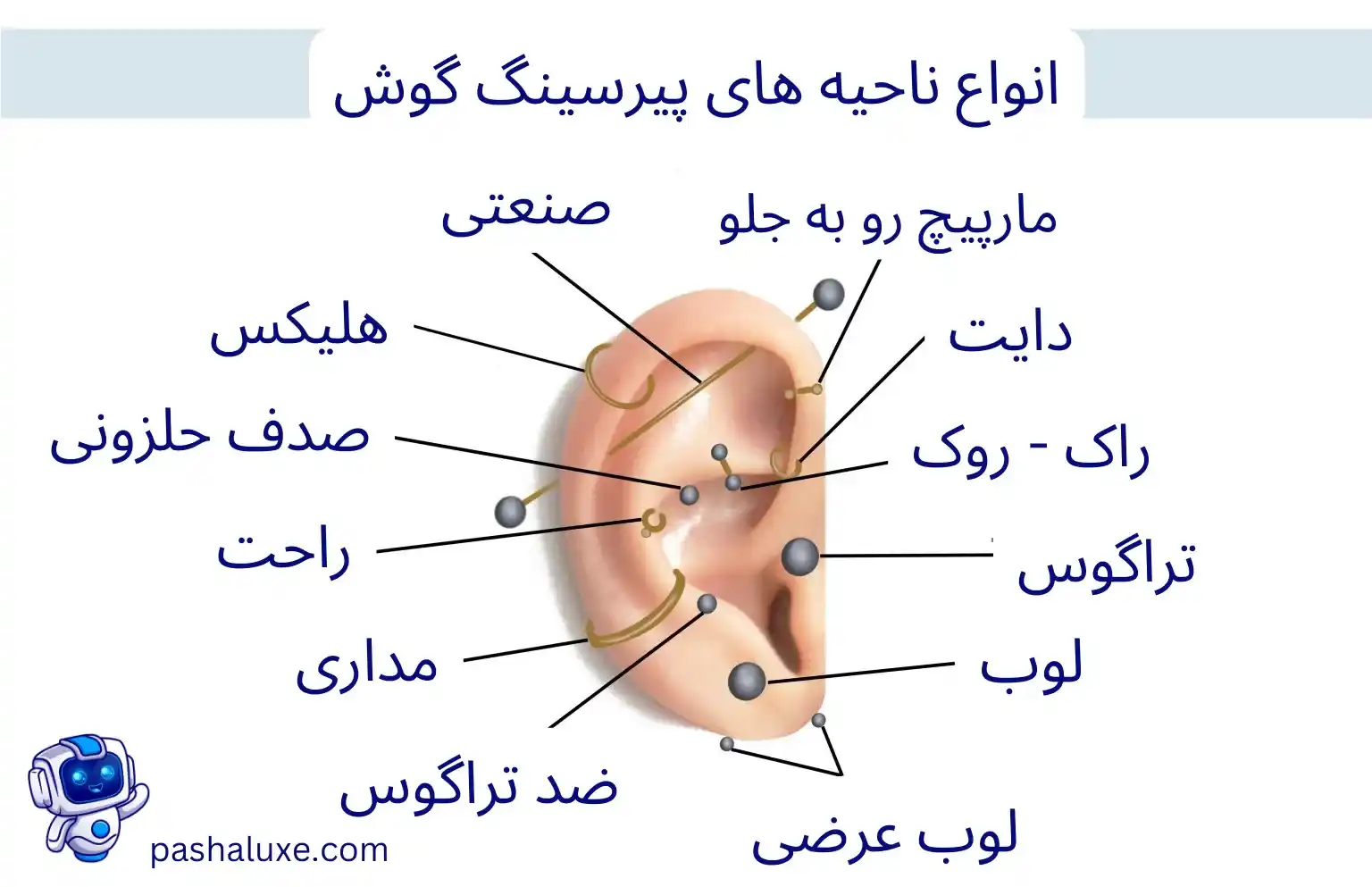 انواع پیرسینگ 